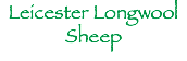 Leicester Longwool
Sheep