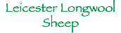 Leicester Longwool
Sheep