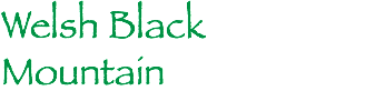 Welsh Black Mountain